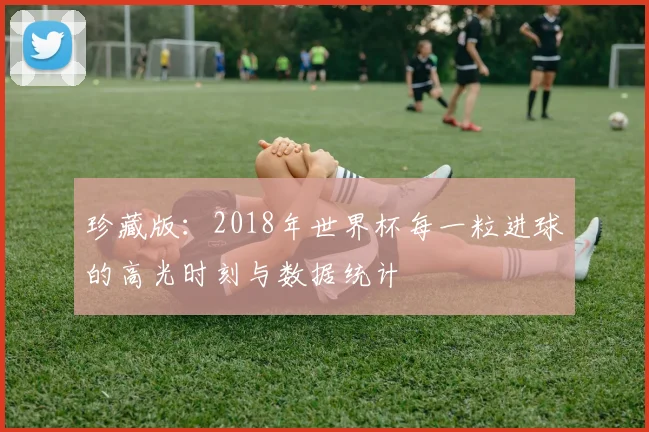 珍藏版：2018年世界杯每一粒进球的高光时刻与数据统计