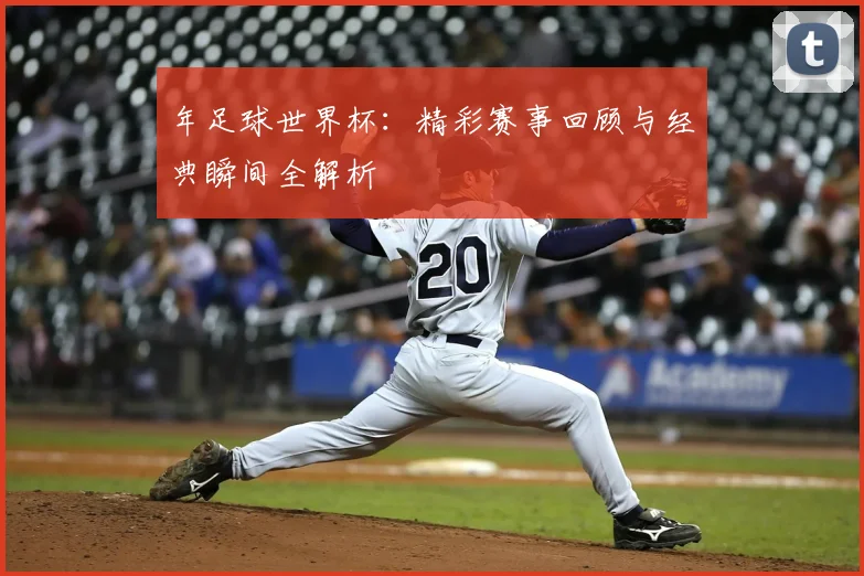 年足球世界杯：精彩赛事回顾与经典瞬间全解析