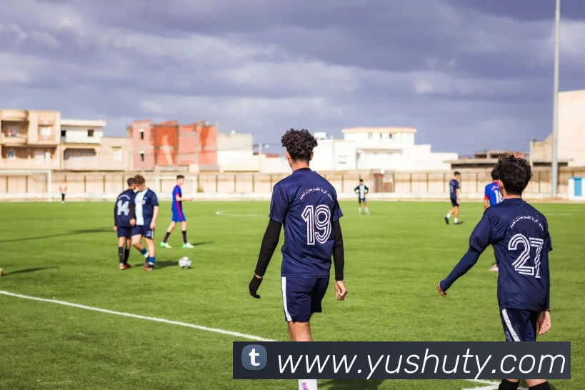 乐鱼官网app登录入口发展历程